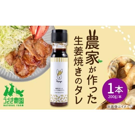 ふるさと納税 調味料・油 たれ 熊本県 合志市 農家が作った生姜焼きのタレ 1本 うさぎ農園