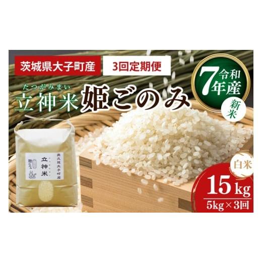 ふるさと納税 米 茨城県 大子町 3ヶ月定期便 新米 令和7年産 立神米こしひかり(白米)定期便 5kg ×3回|茨城県 大子町 コシヒカリ 米 コンテスト 受賞 生産…