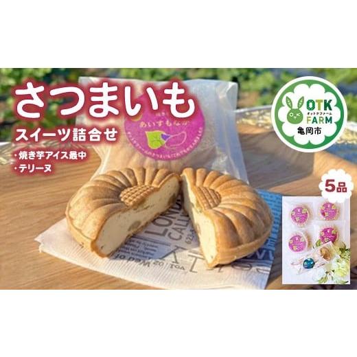 ふるさと納税 菓子 アイス 京都府 亀岡市 焼き芋アイス最中とテリーヌ セット 2種5品 国産さつまいも使用 和スイーツ ギフト 人気 アイス 冷凍 和菓子 お取り…