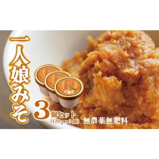 ふるさと納税 味噌 新潟県 新発田市 一人娘みそ 味噌 ミソ 味噌汁 みそ汁 発酵 無農薬 無肥料 自然栽培 大豆 だいず SOY ソイ 詰め合わせ ウェルビーイング 手…