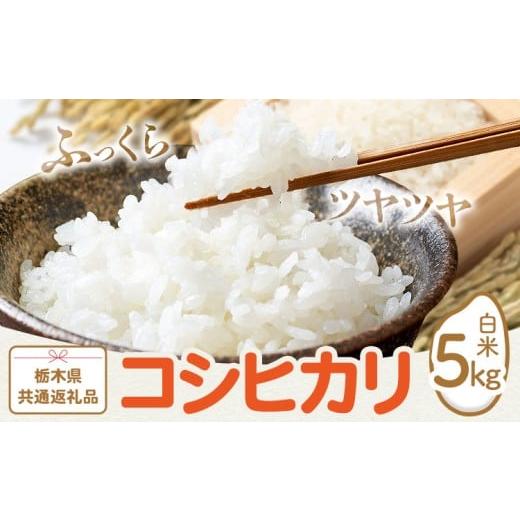 ふるさと納税 米 コシヒカリ 栃木県 野木町 米 お米 コシヒカリ 5kg 令和7年産 江戸屋農産株式会社[30日以内に出荷予定(土日祝除く)] 栃木県産 コメ 米 こ…