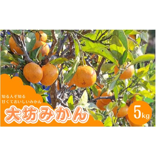 ふるさと納税 果物類 みかん 和歌山県 田辺市 先行予約 自然栽培法 大坊みかん 5kg 早生温州みかん 12月上旬ごろから順次発送 / みかん ミカン 蜜柑 和歌山…