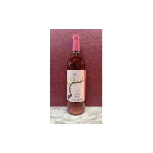 ふるさと納税 ワイン ロゼワイン 長野県 塩尻市 チョイス限定 いにしぇの里葡萄酒 ロゼ「春」コーラルポム'24 | ワイン わいん チョイス限定 赤ワイン 白ワ…