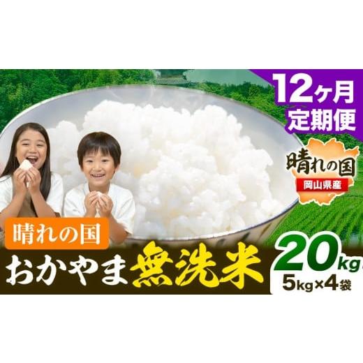 ふるさと納税 無洗米 岡山県 笠岡市 無洗米 米 お米 12ヶ月定期便 20kg(5kg×4袋)/月×12ヶ月 おかやま 無洗米 米 20kg 個包装 こめ コメ 岡山 岡山県産 [お…