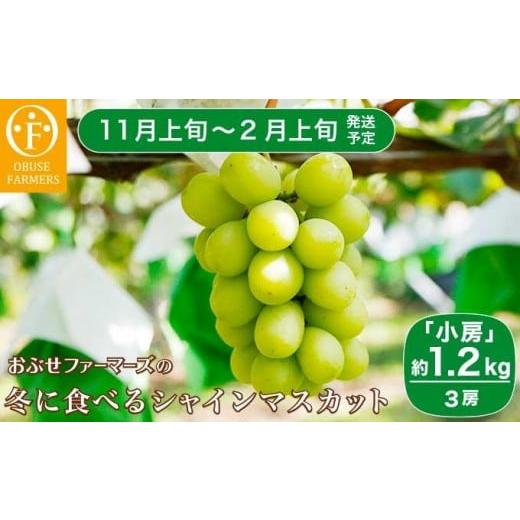 ふるさと納税 ぶどう マスカット 長野県 小布施町 水不足の農家応援 冬に食べるシャインマスカット小房 約1.2kg 3房[ おぶせファーマーズ ]ぶどう フルーツ …