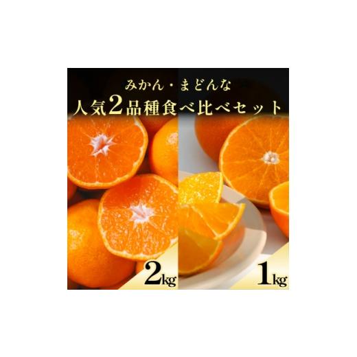 ふるさと納税 果物類 みかん 愛媛県 八幡浜市 愛媛みかん2kg+まどんな1kg 人気2品種食べ比べ C70-110 1683877