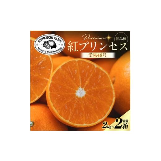 ふるさと納税 みかん・柑橘類 愛媛県 八幡浜市 紅プリンセスと同品種 「甘平×まどんな」愛果48号 2kg×2箱 家庭用 F70-111 1683889