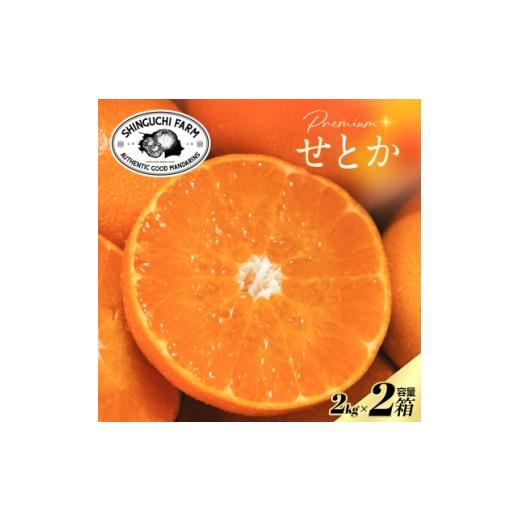 ふるさと納税 みかん・柑橘類 愛媛県 八幡浜市 数量限定 老舗農家が見極めたプレミアム せとか2kg×2箱 柑橘の大トロ F70-114 1683910