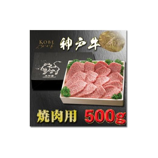 ふるさと納税 牛肉 焼肉・バーベキュー 兵庫県 養父市 神戸牛 焼き肉用 かた・もも 500g YBY2 2026年4月より順次発送 1681973