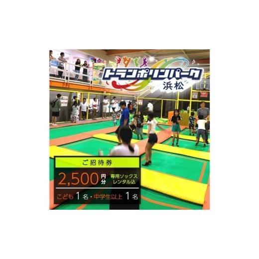 ふるさと納税 入場券・優待券 静岡県 浜松市 トランポリンパーク浜松 ご招待券2,500円分 (ギフトカード 1,000円券×1枚 1,500円券×1枚) デザイン全4種 …