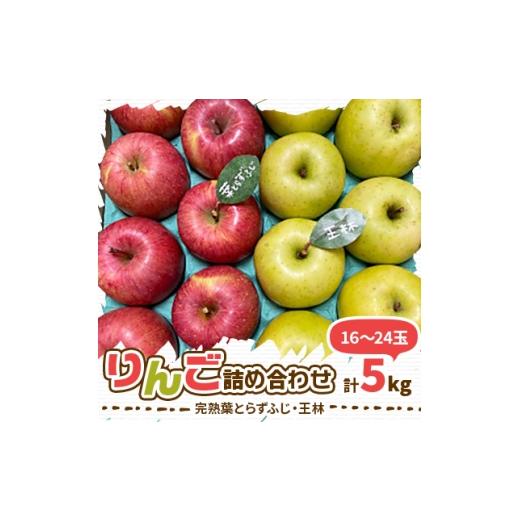ふるさと納税 りんご 青森県 青森市 2025年産 りんご 完熟葉とらずふじ・王林詰め合わせ 5kg (16〜24玉) 1181953