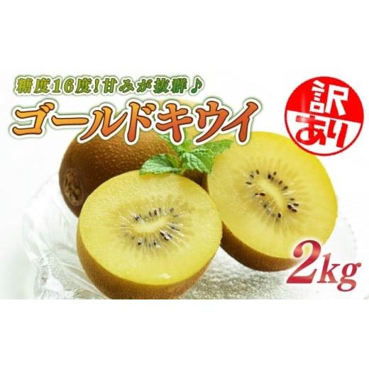 ふるさと納税 果物類 静岡県 牧之原市 訳あり キウイ 2kg フルーツ 果物 スイーツ ゴールド キウイ きうい ゴールド キウイ 東京ゴールド 新品種 ゴールドキウ…
