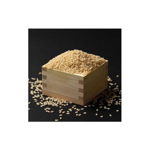 ふるさと納税 玄米 山形県 川西町 令和7年産 栽培期間中農薬不使用米 つや姫玄米 10kg 1683657