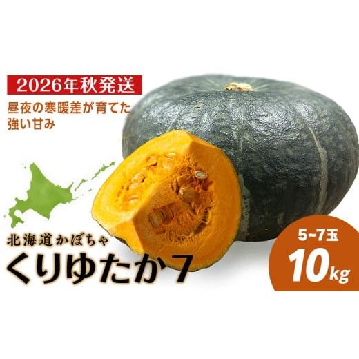 ふるさと納税 野菜類 北海道 積丹町 2026年秋頃発送予約 「くりゆたか7」 かぼちゃ10kg(5玉〜7玉)有機質100%肥料 煮物 天ぷら