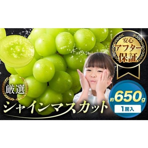ふるさと納税 ぶどう マスカット 岡山県 浅口市 アフター保証付 シャインマスカット 厳選 訳あり シャインマスカット 約650g 1房 2026年先行予約 [9月上旬-1…