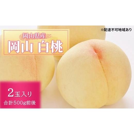 ふるさと納税 もも 岡山県 高梁市   桃 2026年 先行予約 白桃 2玉入り 合計500g前後 岡山県産もも モモ 岡山県産 国産 フルーツ 果物 ギフト