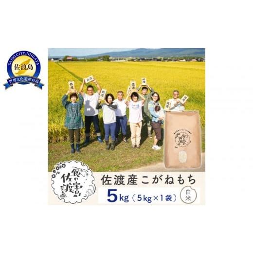 ふるさと納税 米・パン もち米 新潟県 佐渡市 新米 佐渡島産 こがねもち 精米 5Kg