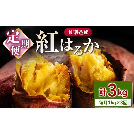 ふるさと納税 野菜類 サツマイモ 宮崎県 - 定期便 3回お届け 長期熟成 紅はるか 計3kg(1kg×3回)宮崎県都城市産 さつまいも サツマイモ 計3kg 毎月1kg×3回…