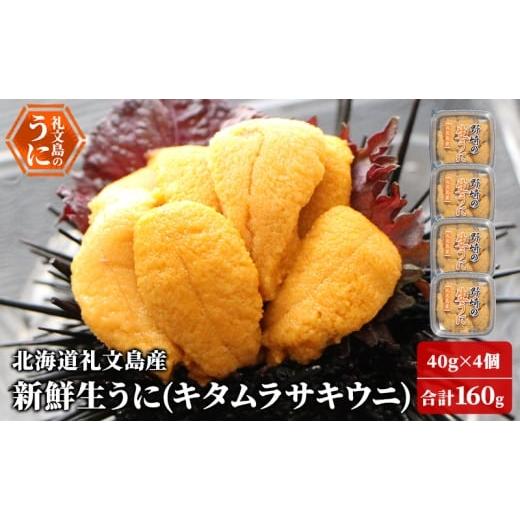 ふるさと納税 ウニ 北海道 礼文町 先行予約 北海道 礼文島産 新鮮生うに( キタムラサキウニ )40g×4個 ウニ 雲丹 魚貝類 160g
