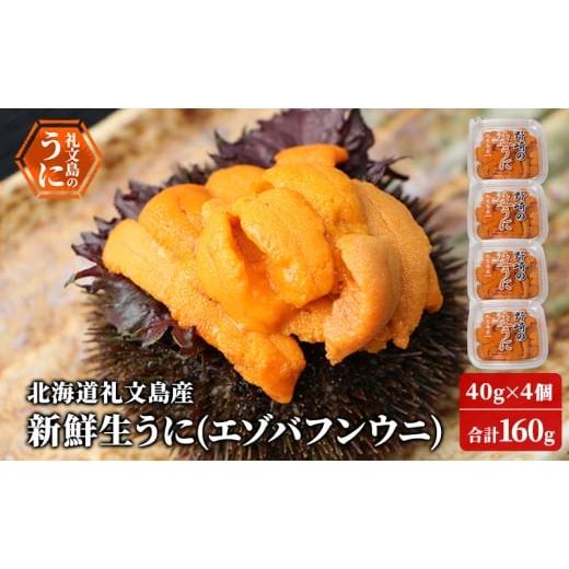 ふるさと納税 ウニ 北海道 礼文町 先行予約 北海道 礼文島産 新鮮生うに( エゾバフンウニ)40g×4個 ウニ 雲丹 魚貝類 160g