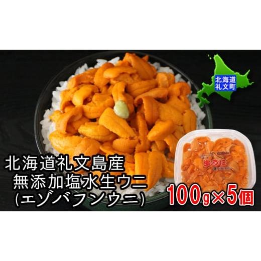 ふるさと納税 ウニ 北海道 礼文町 先行予約 北海道 礼文島産 塩水ウニ ( エゾバフンウニ )100g×5 生うに うに 雲丹 魚貝類 生ウニ 海の幸 肴 つまみ 海鮮 …