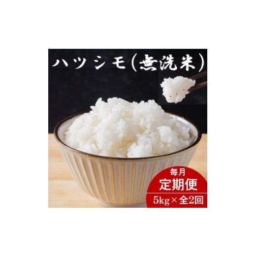 ふるさと納税 無洗米 岐阜県 羽島市 毎月定期便 岐阜県産ハツシモ(無洗米) 5kg全2回 4076366