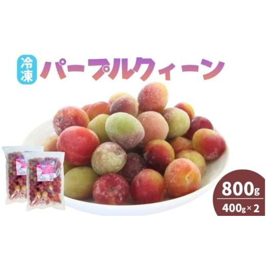 ふるさと納税 果物類 和歌山県 田辺市 冷凍パープルクィーン 800g(400g×2) / 紀州南高梅 南高梅 青梅 梅 ウメ うめしごと 紀州 梅酒 梅ジュース 梅シロッ…