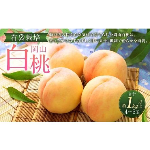 ふるさと納税 もも 岡山県 奈義町 岡山 白桃 4〜5玉 (合計1.0kg以上) 2026年7月上旬〜8月上旬 発送予定 桃 もも モモ 果物 果実 フルーツ 岡山県 奈義町 冷…