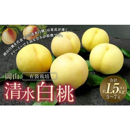 ふるさと納税 もも 岡山県 奈義町 岡山 清水 白桃 5〜7玉 (合計1.5kg以上) 2026年7月上旬〜7月下旬 発送予定 桃 もも モモ 果物 果実 フルーツ 岡山県 奈義…