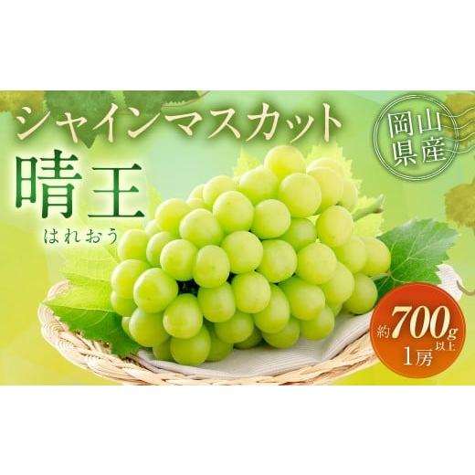 ふるさと納税 ぶどう マスカット 岡山県 奈義町 シャインマスカット 晴王 1房 (700g以上) 2026年9月上旬〜10月上旬 発送予定 マスカット 葡萄 ぶどう ブドウ…