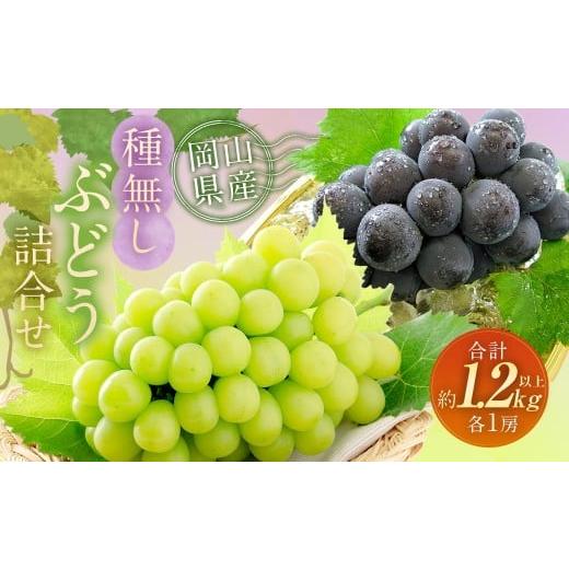 ふるさと納税 ぶどう マスカット 岡山県 奈義町 種無しぶどう 詰合せ 2房 (合計1.2kg以上) (シャインマスカット / ニューピオーネ) 2026年9月上旬〜10月…