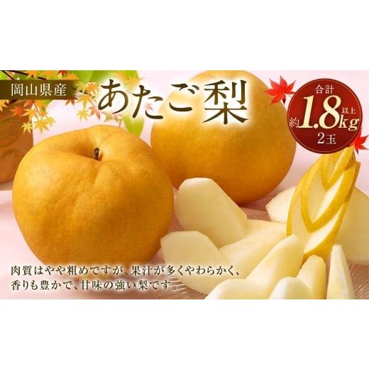 ふるさと納税 梨 岡山県 奈義町 梨 2026年 先行予約 あたご梨 2玉 合計1.8kg以上 2026年11月下旬〜12月下旬 発送予定 環山堂 岡山県産 愛宕梨 和梨 なし ナシ …