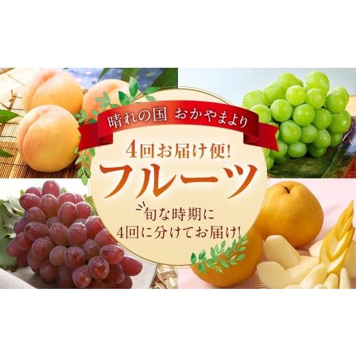 ふるさと納税 もも 岡山県 奈義町 4回定期便 フルーツ 2026年 先行予約 4回お届け便 環山堂セレクト 晴れの国 おかやま より 果物 を旬な時期に4回に分けてお…