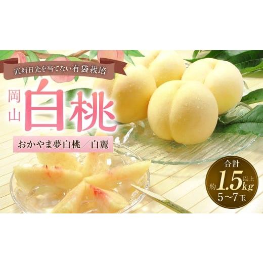 ふるさと納税 もも 岡山県 奈義町 桃 2026年 先行予約 岡山 白桃 (品種 : おかやま夢白桃 / 白麗) 5〜7玉 合計1.5kg以上 2026年7月下旬〜8月上旬 発送予定…