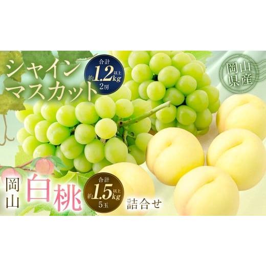 ふるさと納税 もも 岡山県 奈義町 桃 ぶどう 2026年 先行予約 岡山 白桃 5玉 と シャイン マスカット 2房 詰合せ 合計2.7kg以上 2026年7月上旬〜8月上旬 発送…