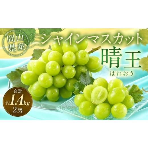 ふるさと納税 ぶどう マスカット 岡山県 奈義町 ぶどう 2026年 先行予約 シャイン マスカット 晴王 2房 合計1.4kg以上 2026年9月上旬〜10月上旬 発送予定 シャ…