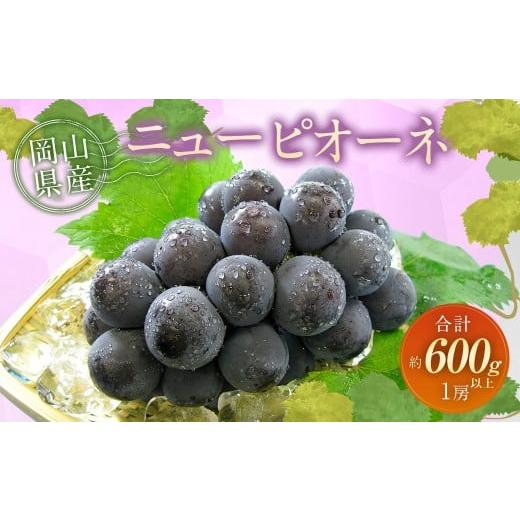 ふるさと納税 果物類 ぶどう 岡山県 奈義町 ぶどう 2026年 先行予約 ニュー ピオーネ 1房 600g以上 2026年8月下旬〜9月下旬 発送予定 ニューピオーネ 葡萄 ブ…