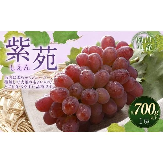 ふるさと納税 果物類 ぶどう 岡山県 奈義町 冬 ぶどう 2026年 先行予約 紫苑 1房 700g以上 2026年10月下旬〜11月下旬 発送予定 葡萄 ブドウ 種なし 大粒 フル…