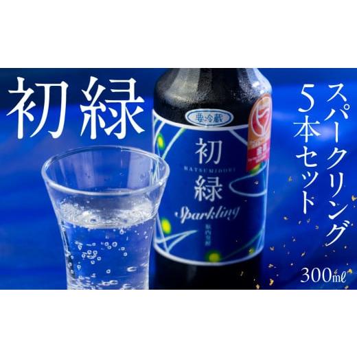 ふるさと納税 日本酒 岐阜県 下呂市 年内順次発送 初緑 スパークリング 300ml×5本 セット 日本酒 酒 お酒 奥飛騨酒造 下呂温泉 ギフト 贈答 酒 下呂市 スパ…