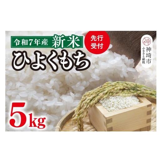 ふるさと納税 米・パン もち米 佐賀県 神埼市 令和7年産 新米 先行受付 ひよくもち5kg ひよくもち もち米 九州 肥沃 食感 お餅 赤飯 おこわ ちまき 美味しい …