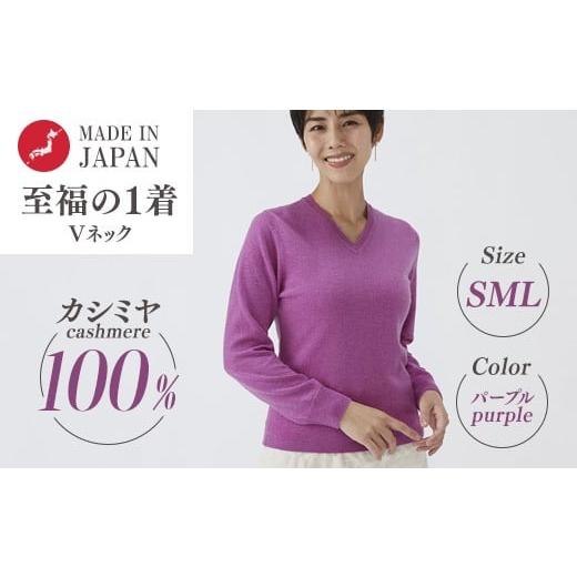 ふるさと納税 服 女 大阪府 泉大津市 Lサイズ 日本製 カシミヤ100% レディース Vネック パープル Lサイズ