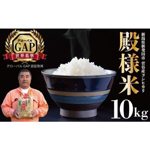 ふるさと納税 米 コシヒカリ 新潟県 新発田市 新潟県産 越後菅谷殿様米 10kg 令和7年産 新潟県産 新発田産 米 10kg 越後菅谷 殿様米 コシヒカリ echigosugatan…