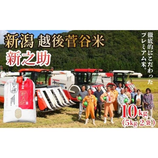 ふるさと納税 米 新潟県 新発田市 米 令和7年産 新之助 10kg 新潟県 新発田産 米 越後菅谷 新之助 数量限定 echigosugatani003
