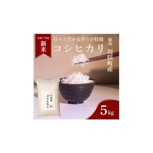 ふるさと納税 米 コシヒカリ 福島県 川俣町 川俣町産 コシヒカリ 精米 5kg 1682407
