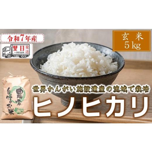 食品 福崎町 ヒノヒカリ 予約販売 数量限定