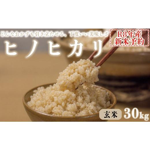 ふるさと納税 玄米 兵庫県 福崎町 新米予約 令和8年産 ヒノヒカリ 八千 