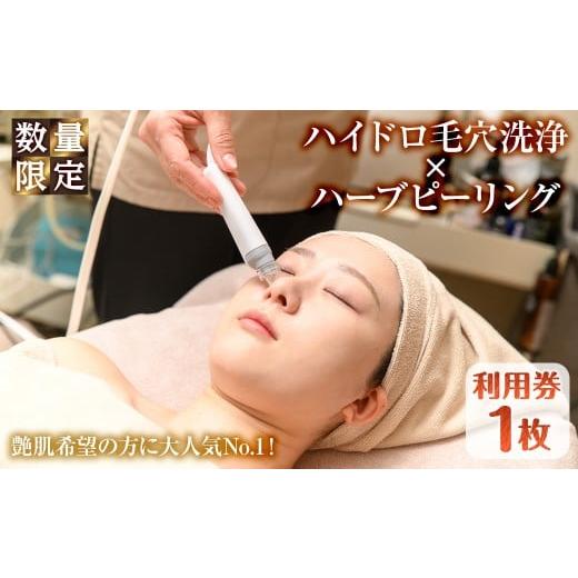 ふるさと納税 体験チケット 大阪府 箕面市 数量限定 ハイドロ毛穴洗浄×ハーブピーリング利用券(1枚) m66-15 melty minoh