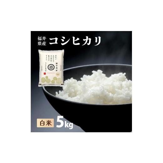 ふるさと納税 米 コシヒカリ 福井県 敦賀市 福井県産 コシヒカリ 精米 5kg(5kg×1) 令和7年産 / 数量限定 米 コメ お米 精米 白米 無洗米 玄米 ご飯 飯 こ…