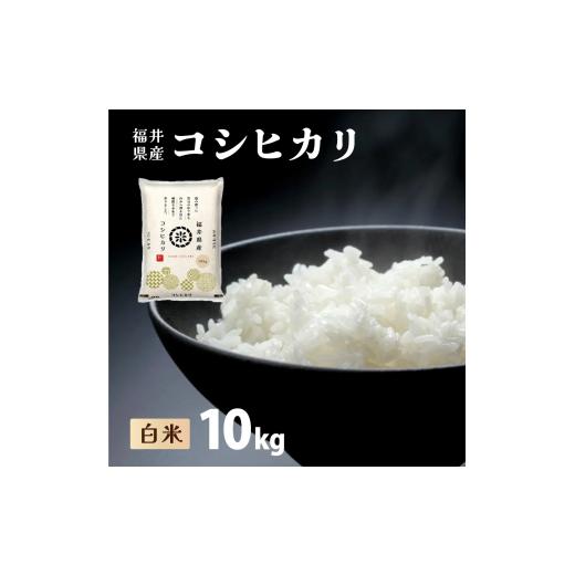 ふるさと納税 米 コシヒカリ 福井県 敦賀市 定期便3回 福井県産 コシヒカリ 精米 10kg(10kg×1) 令和7年産 新米 / 数量限定 米 コメ お米 精米 白米 無洗…