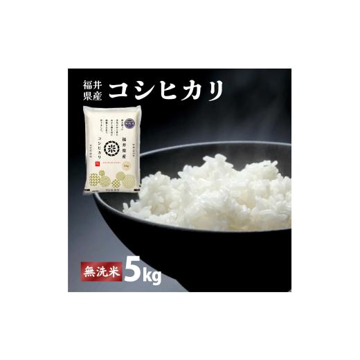 ふるさと納税 米 コシヒカリ 福井県 敦賀市 福井県産 コシヒカリ 無洗米 5kg(5kg×1) 令和7年産 / 数量限定 米 コメ お米 精米 白米 無洗米 玄米 ご飯 飯 …